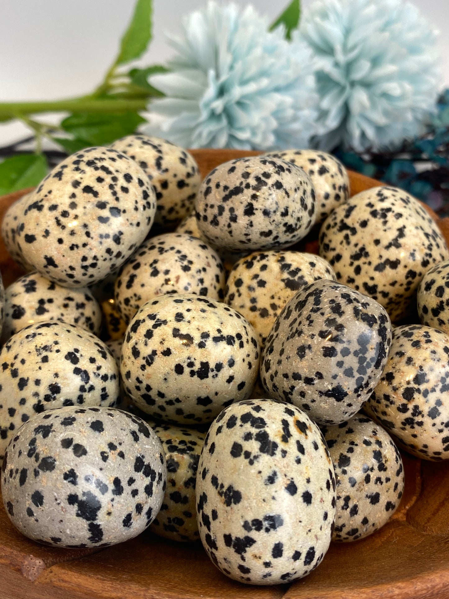 Trommelstein aus Dalmatinerstein