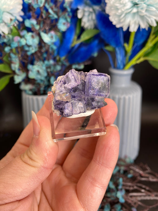 Fluorit aus Larkin's Quarry, Irland (T100)