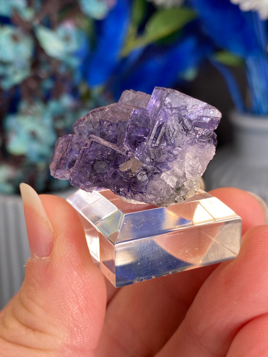 Fluorit aus Larkin's Quarry, Irland (V100)