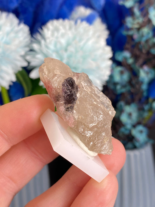 Turmalin in Quarz aus Brasilien (M10)