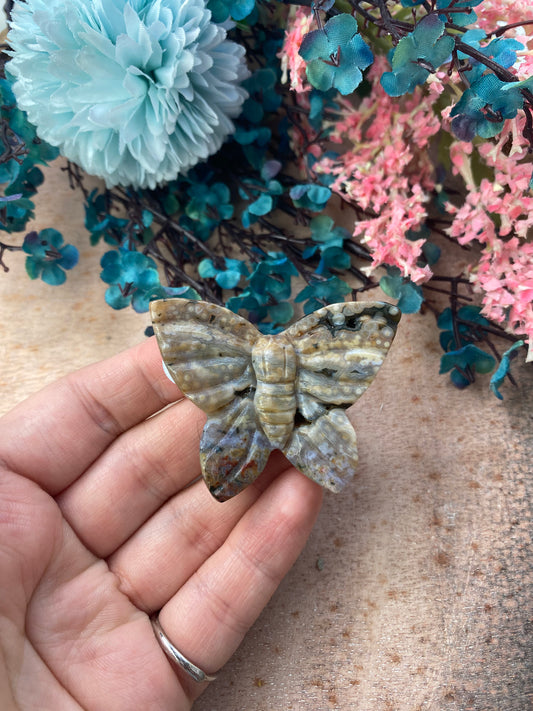 Schmetterling aus Ozeanjaspis (J50)