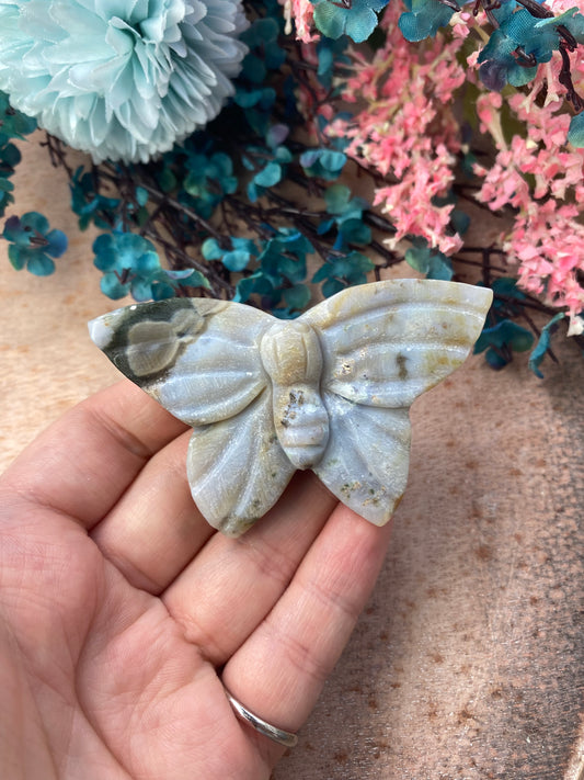 Schmetterling aus Ozeanjaspis (M70)