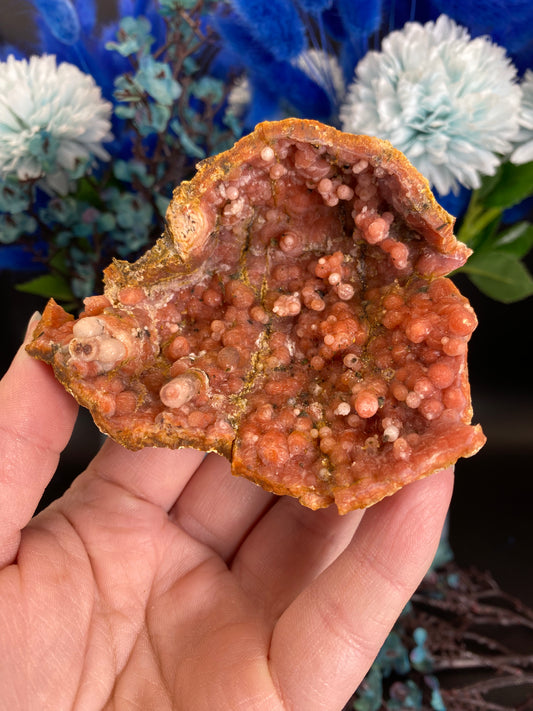 Geode aus Chalcedon (F55)