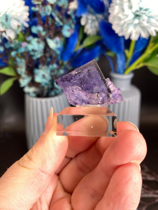 Fluorit aus Larkin's Quarry, Irland (R125)