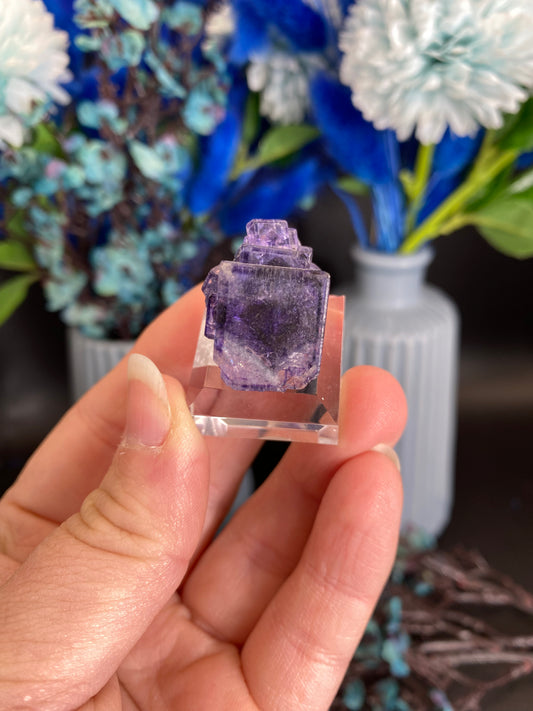 Fluorit aus Larkin's Quarry, Irland (A125)