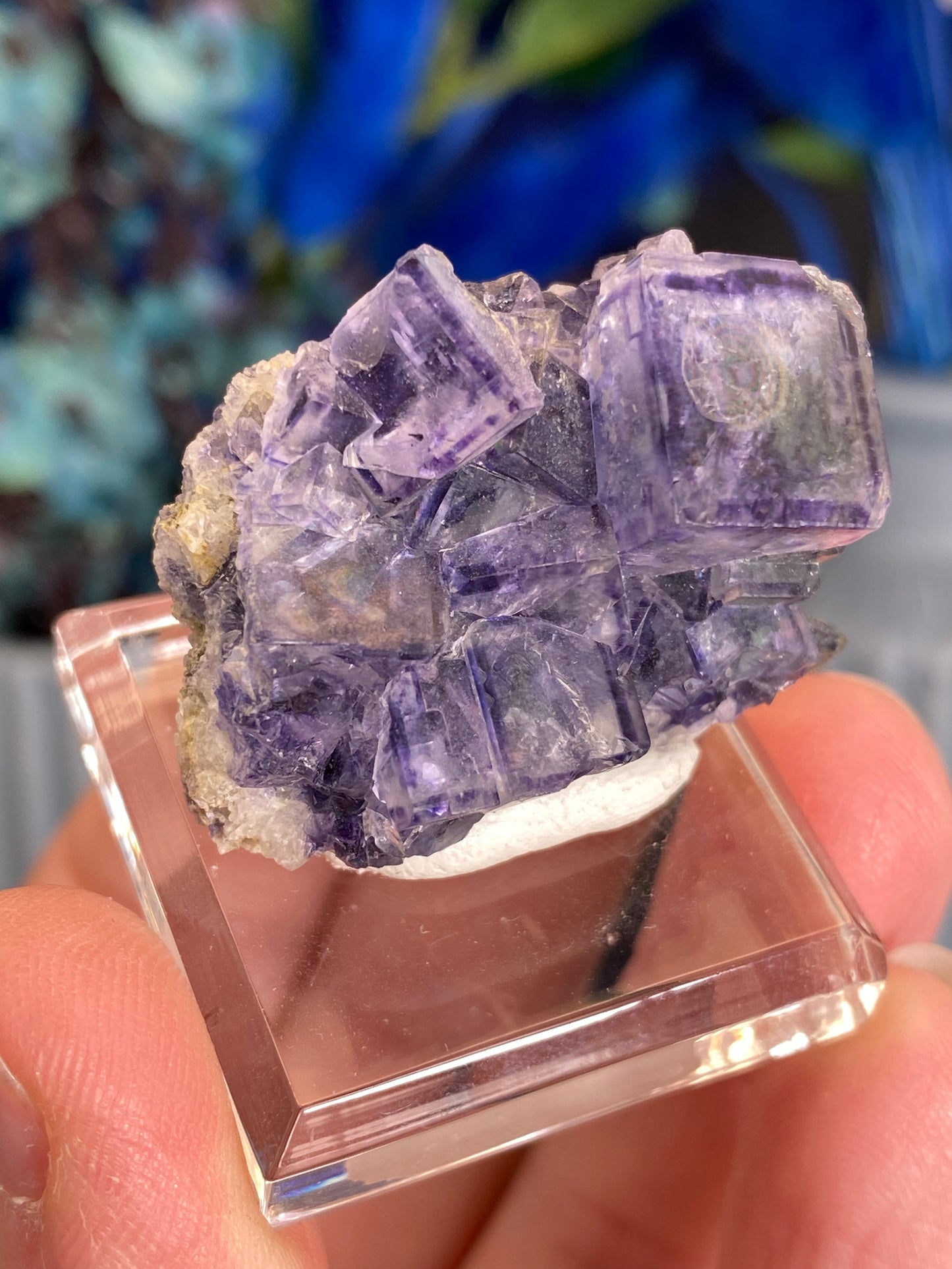 Fluorit aus Larkin's Quarry, Irland (T100)