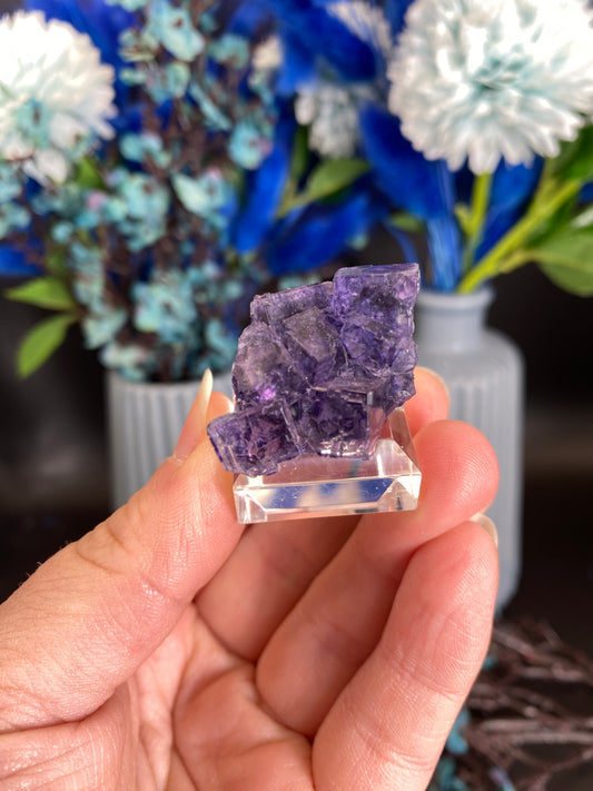 Fluorit aus Larkin's Quarry, Irland (V100)