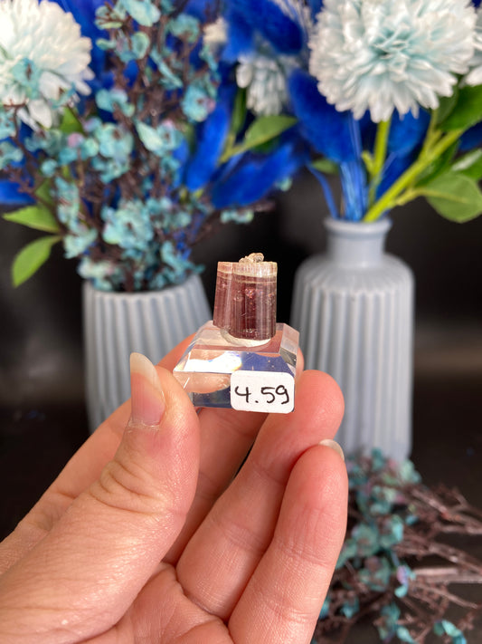 Turmalin aus Barra de Salinas, Brasilien (O248)