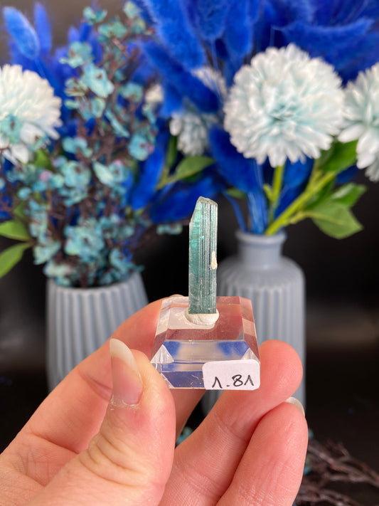 Turmalin aus Agua Branca, Brasilien