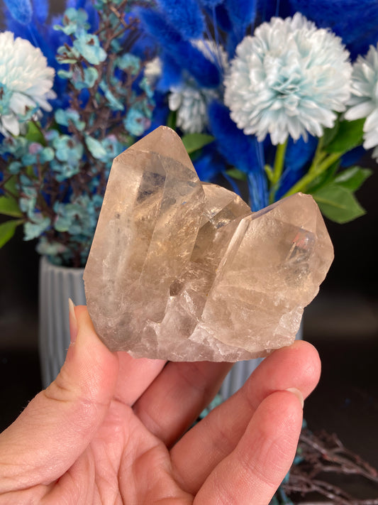 Cluster aus Rauchquarz (W37)