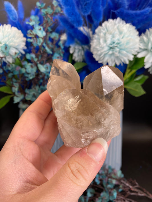 Cluster aus Rauchquarz (W37)