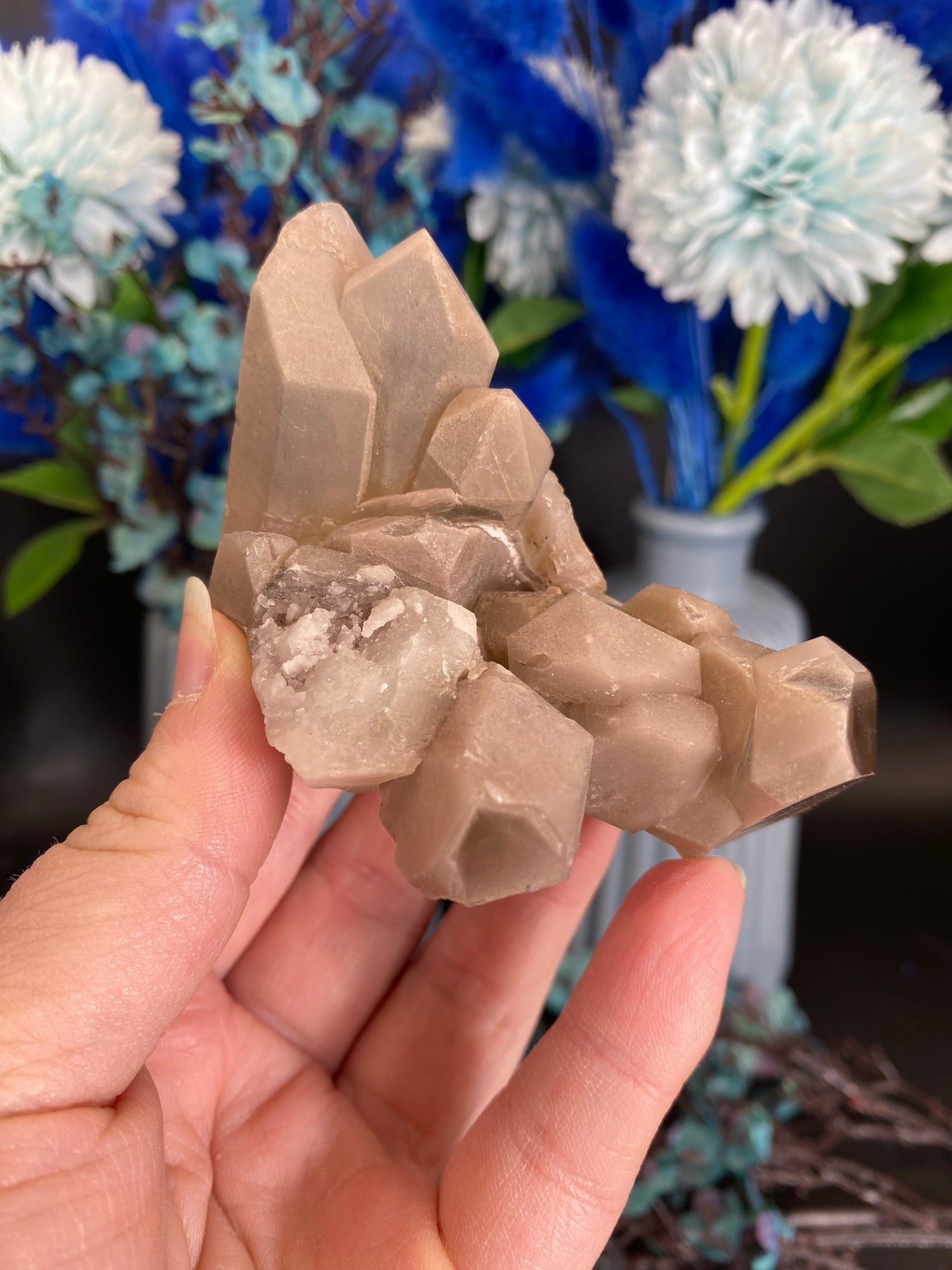 Cluster/Geoden/Specimen