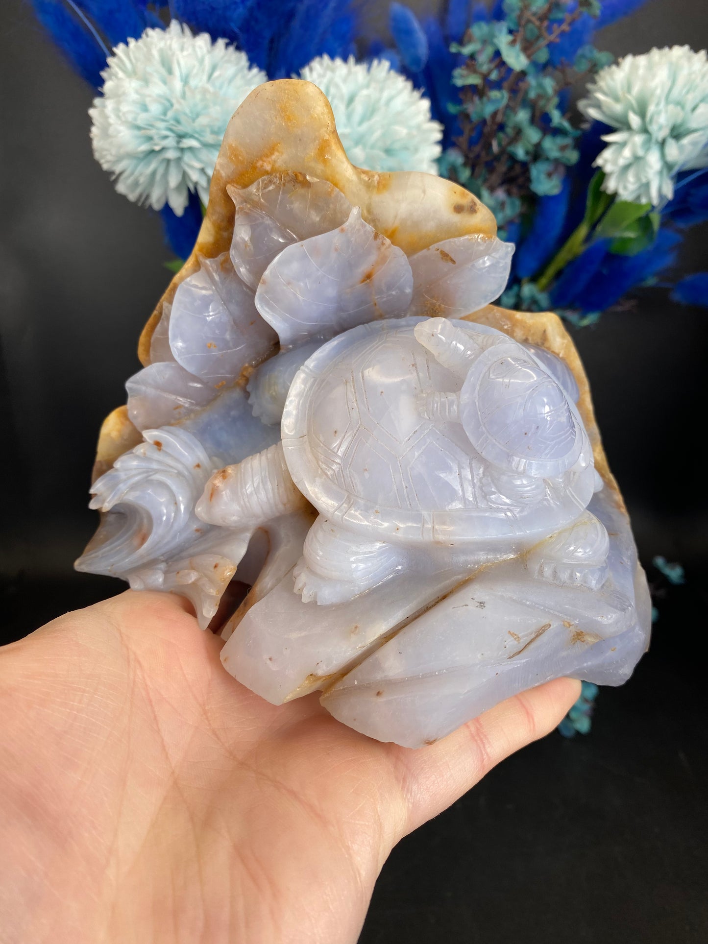 Schildkröten aus blauem Chalcedon (D280)