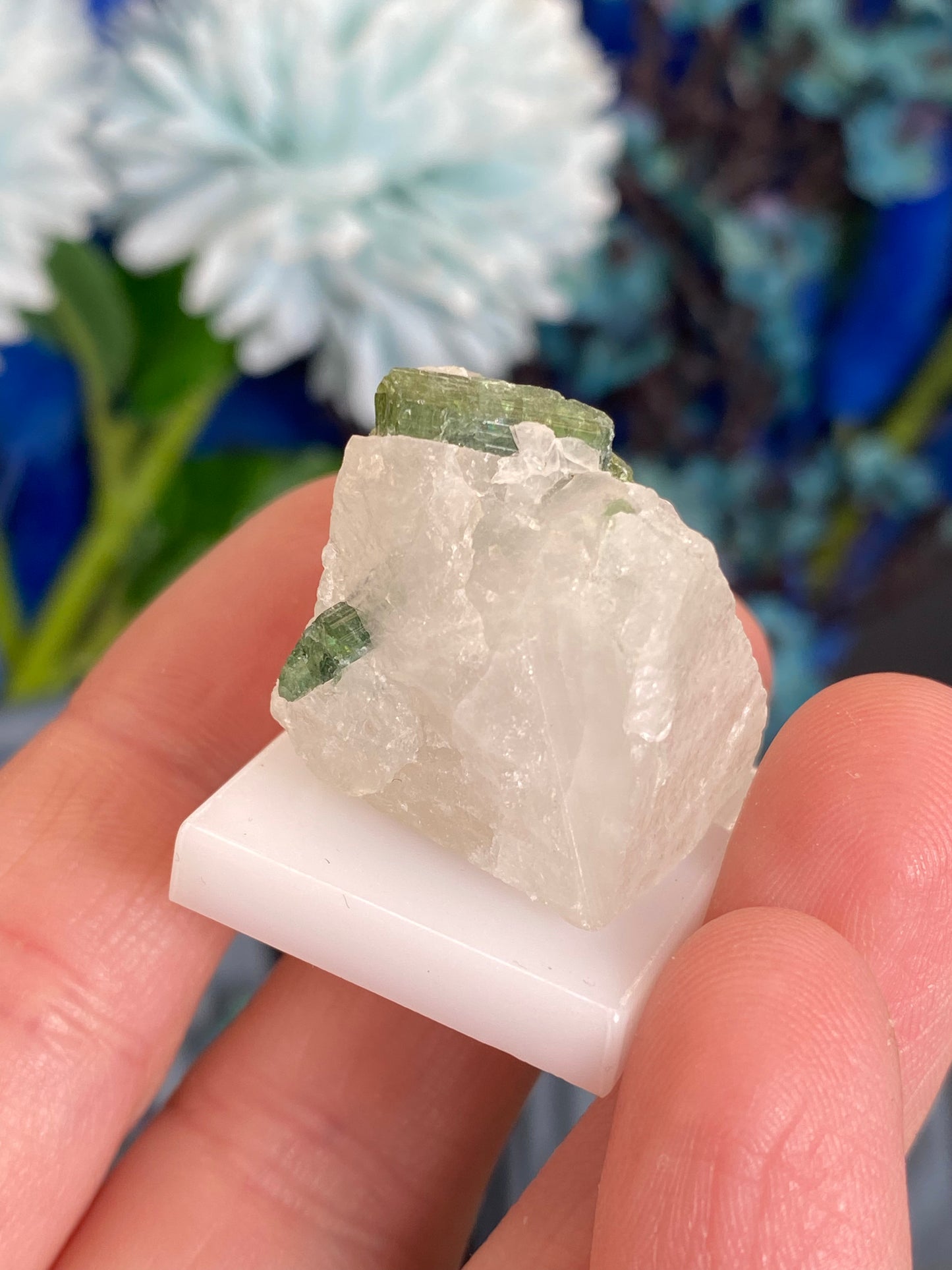 Turmalin in Quarz aus Brasilien (E15)