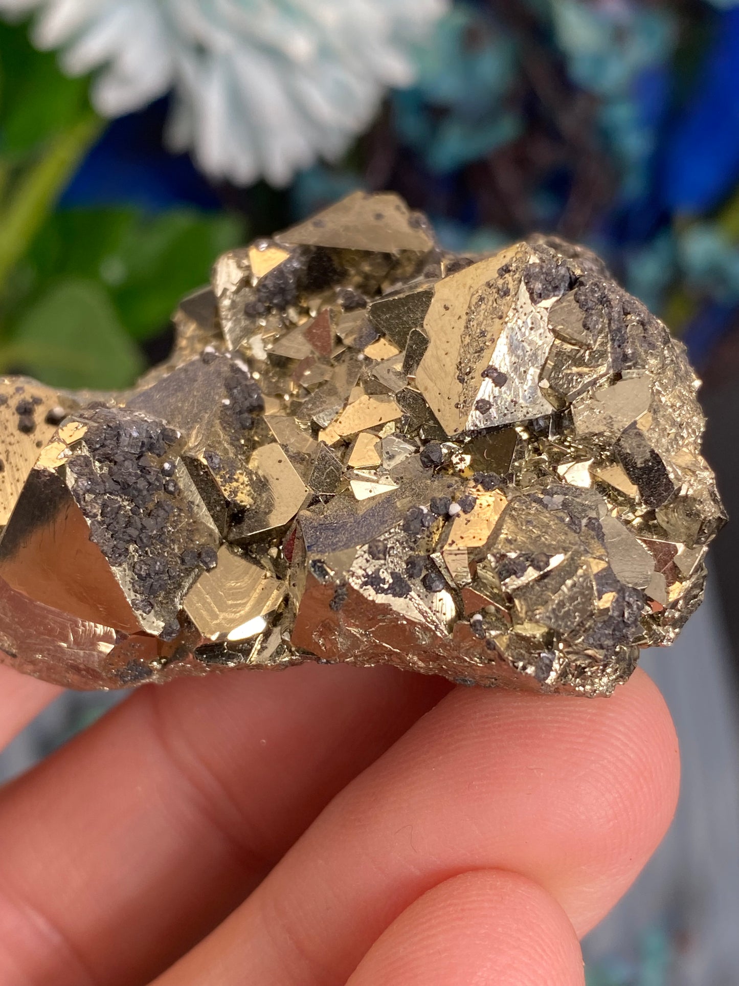 Pyrit mit Sphalerit aus Peru (P31)