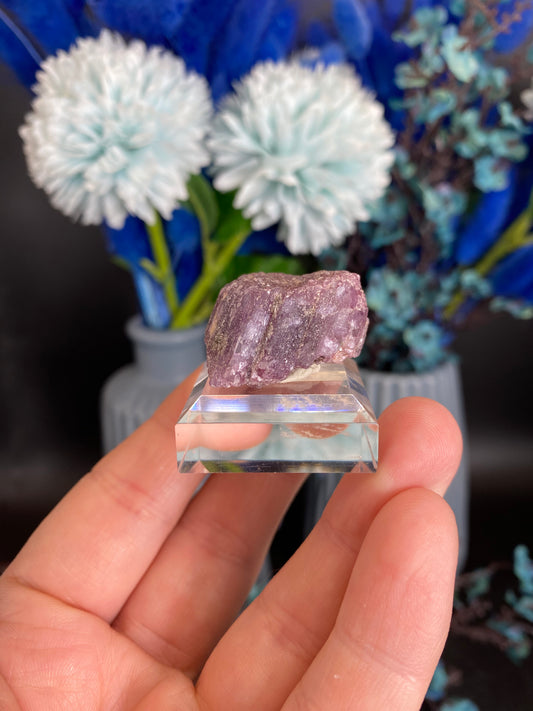 Lepidolith nach Turmalin, Pseudomorphose (A65)