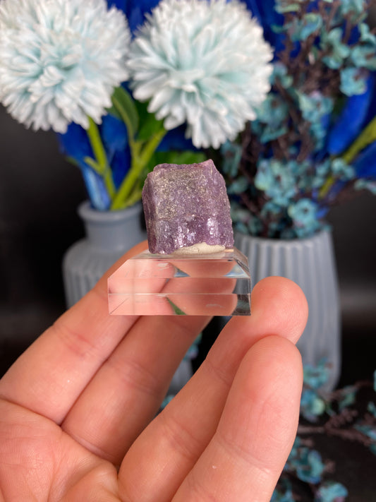 Lepidolith nach Turmalin, Pseudomorphose (P65)