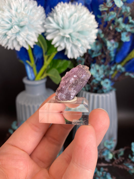 Lepidolith nach Turmalin, Pseudomorphose (M65)