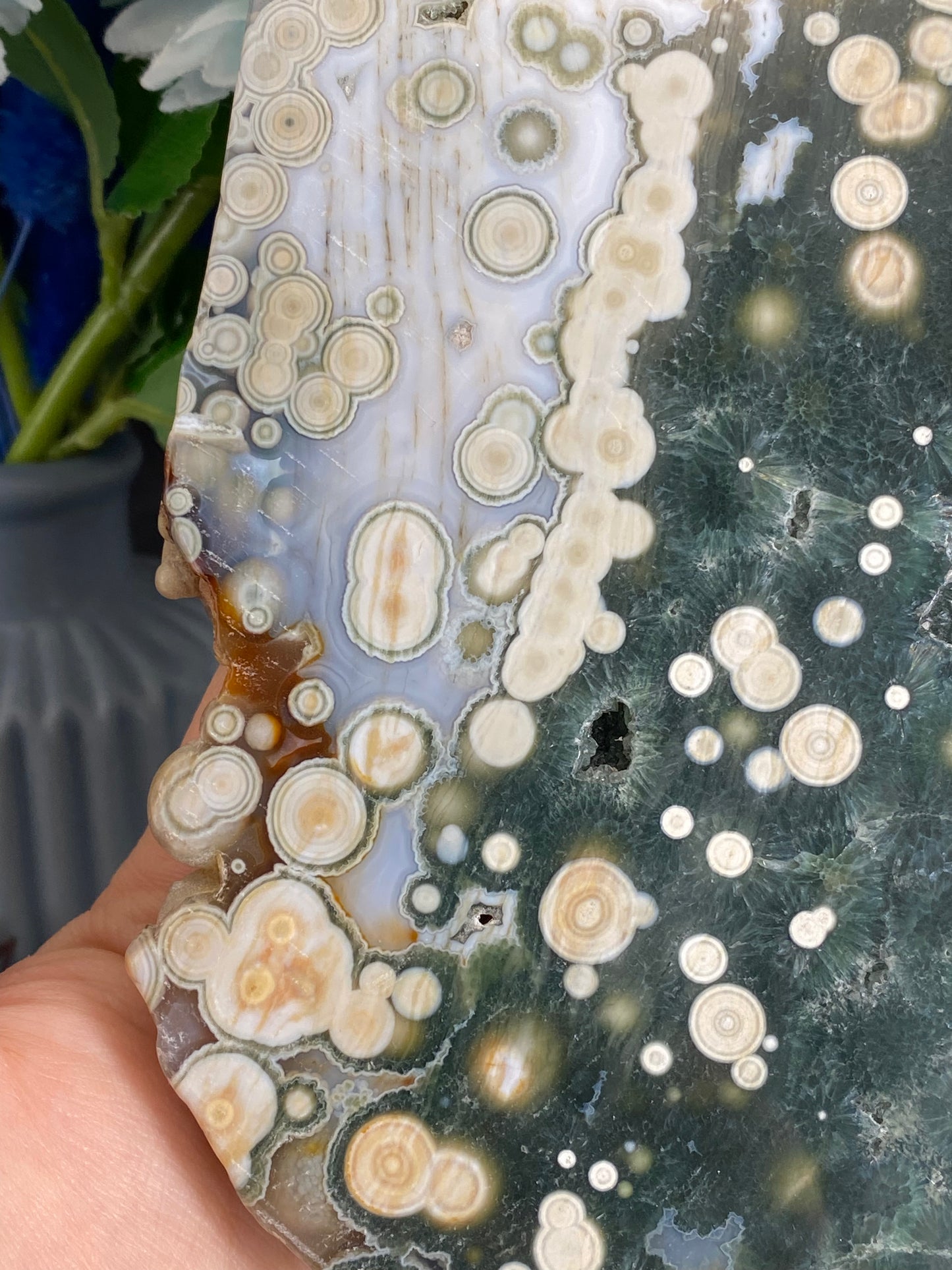 Scheibe aus Ozeanjaspis, 5te/6te Vene (G555)