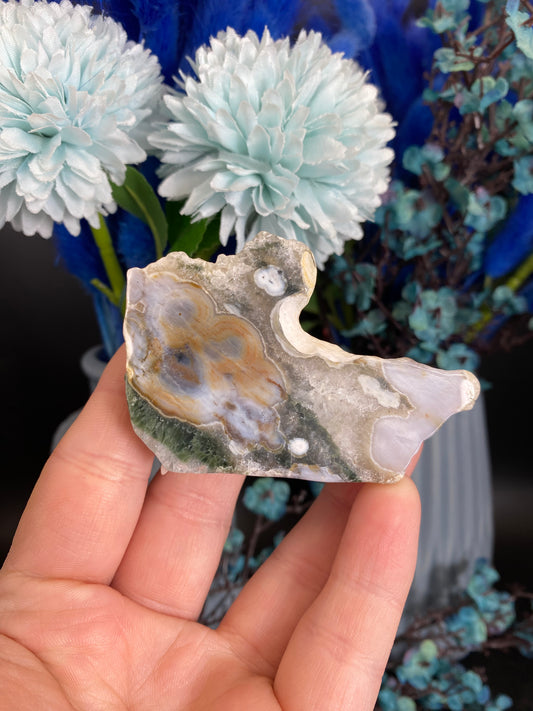 Scheibe aus Ozeanjaspis, 5te/6te Vene (C57)