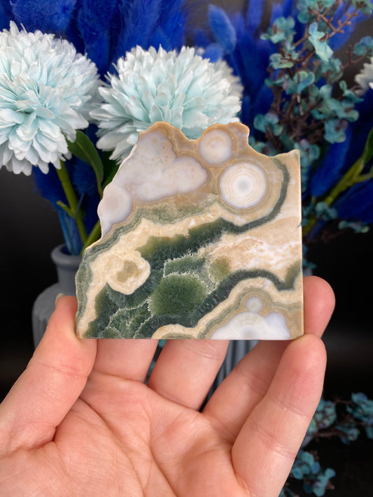 Scheibe aus Ozeanjaspis, 5te/6te Vene (H66)