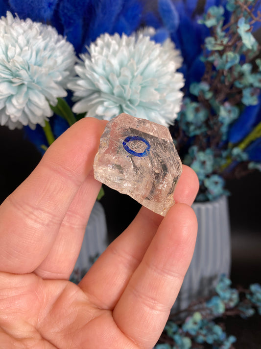 Quarz mit Libelle (beweglicher Wassereinschluss, B30)