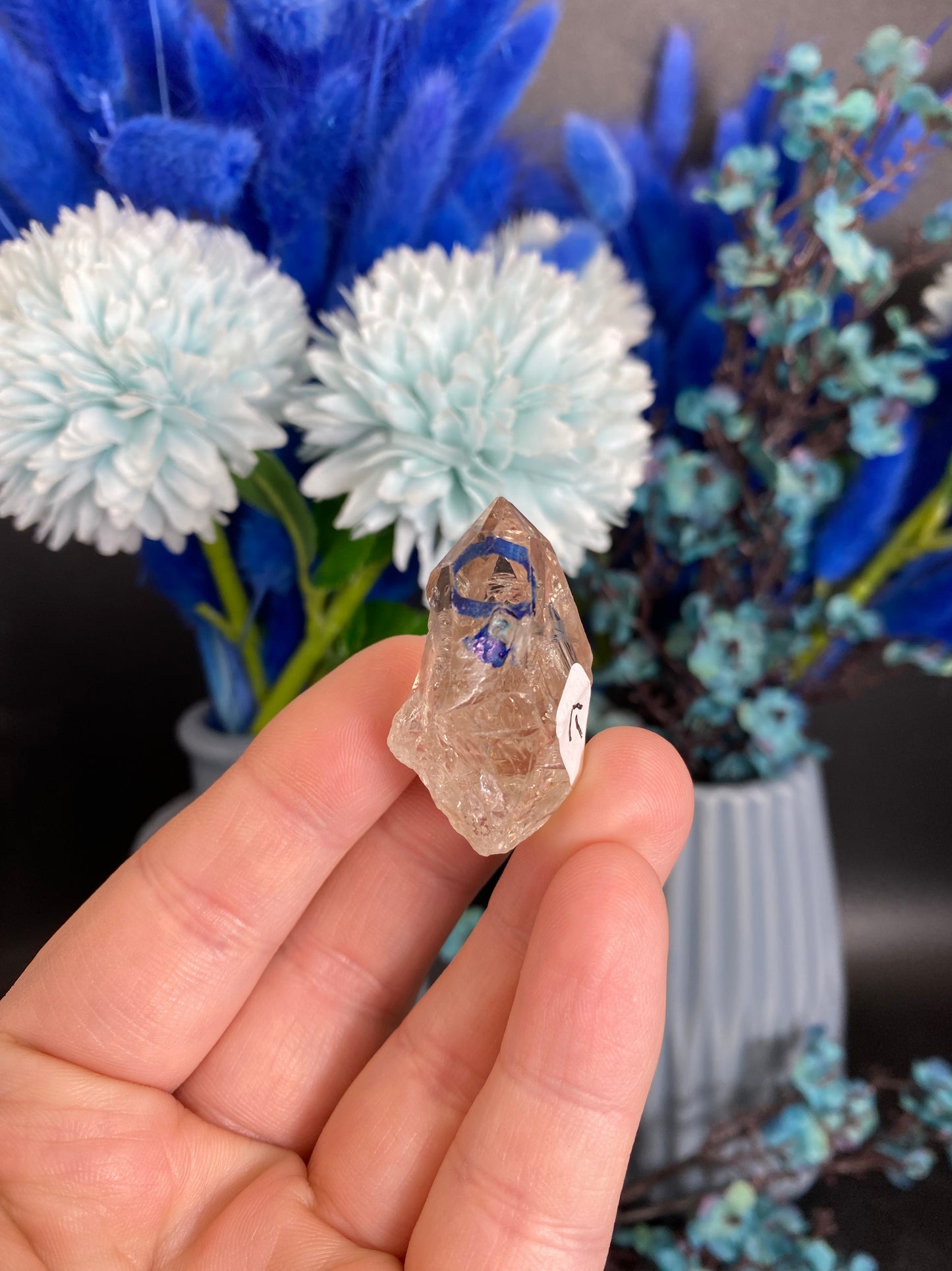 Quarz mit Libelle (beweglicher Wassereinschluss, I26)