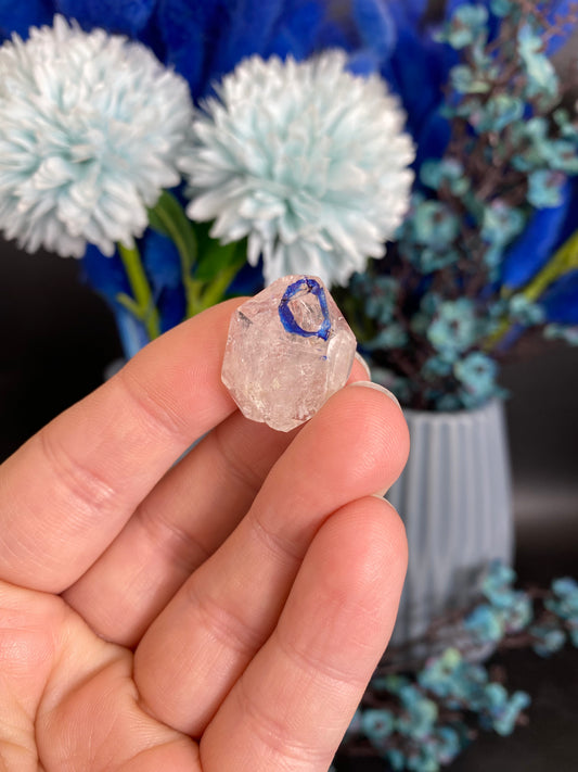 Quarz mit Libelle (beweglicher Wassereinschluss, D21)