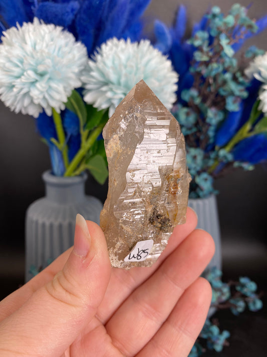 Quarz aus dem Himalaya (W85)