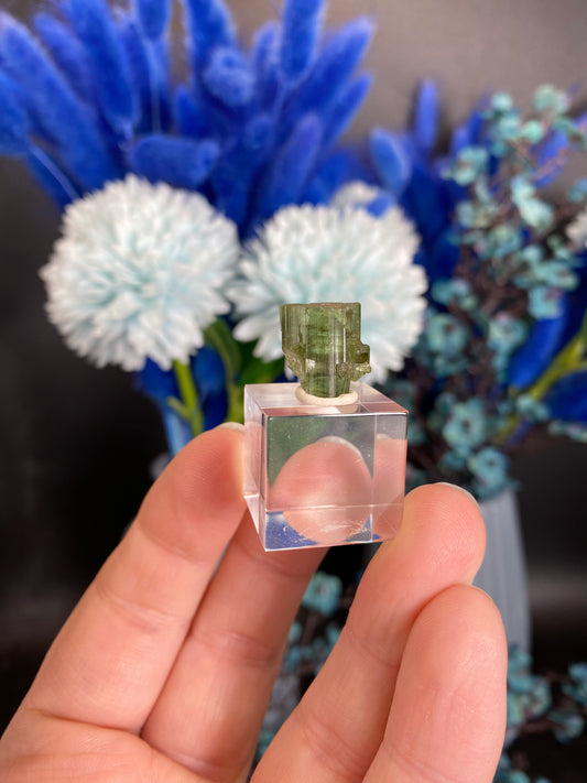 Turmalin aus Brasilien (X40)