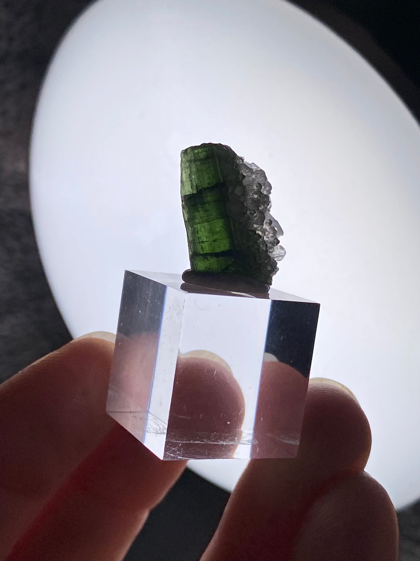 Turmalin mit Quarz aus Brasilien (H40)