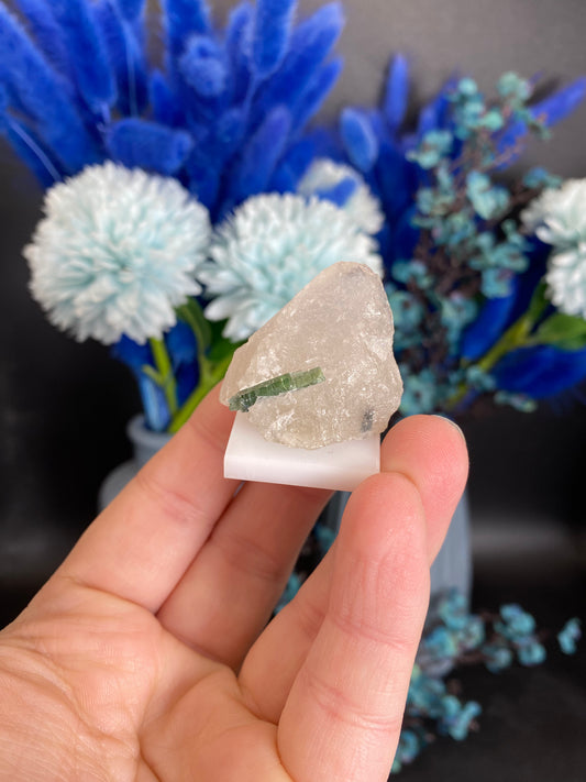 Turmalin in Quarz aus Brasilien (P10)