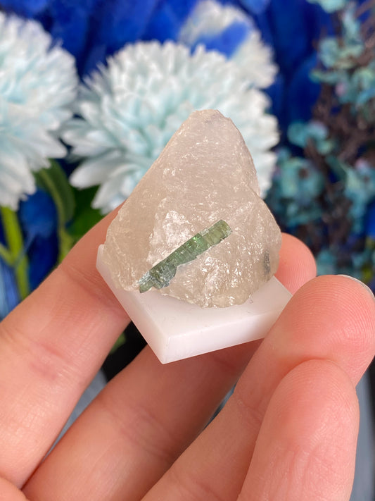 Turmalin in Quarz aus Brasilien (P10)