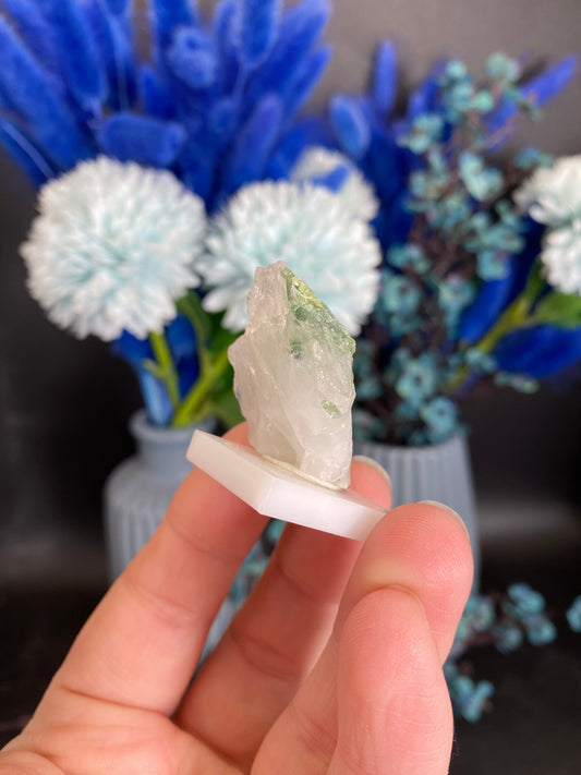 Turmalin in Quarz aus Brasilien (F10)