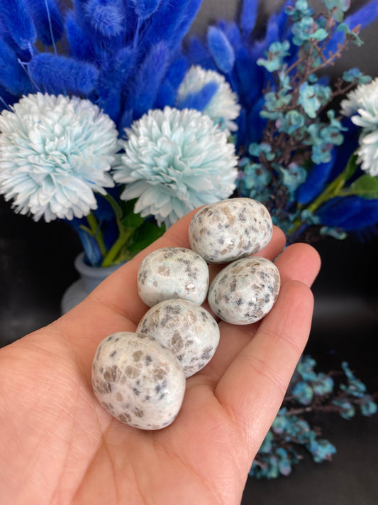 Kiwijaspis Trommelstein