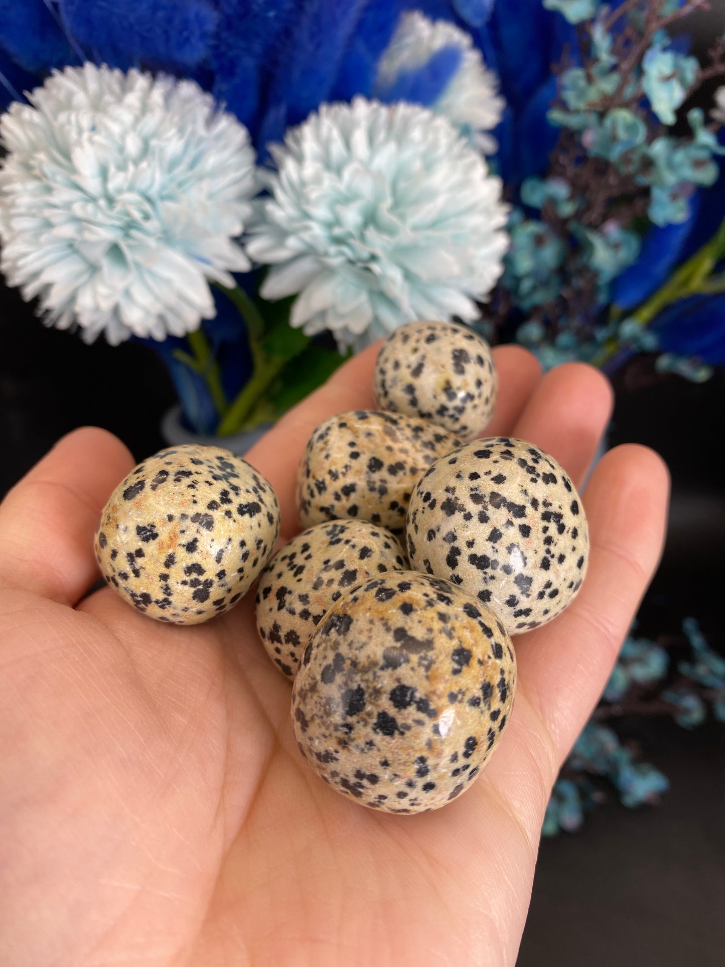 Dalmatinerstein Trommelstein