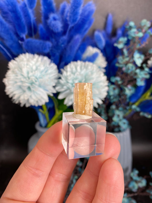 Turmalin aus der Chappu Mine, Pakistan (K45)