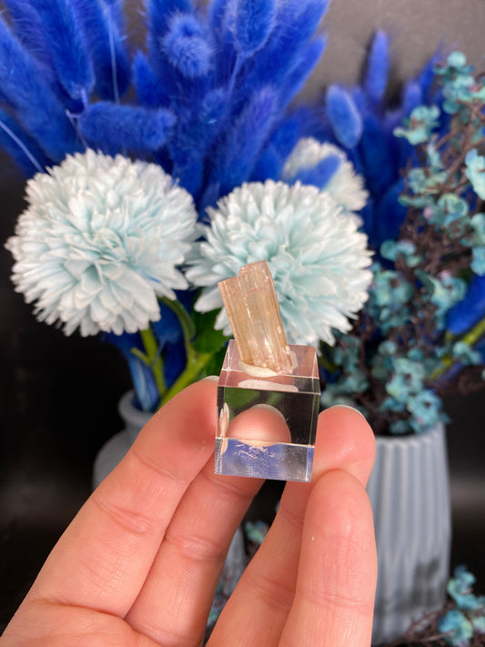 Turmalin aus der Chappu Mine, Pakistan (S45)