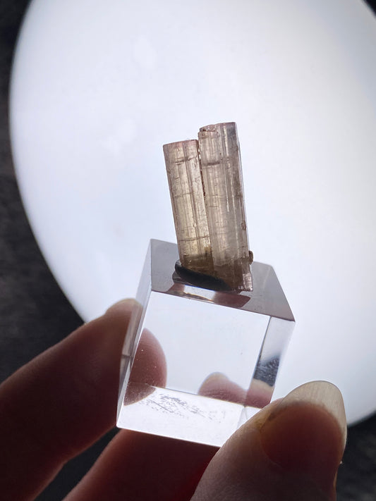 Turmalin aus der Chappu Mine, Pakistan (S45)