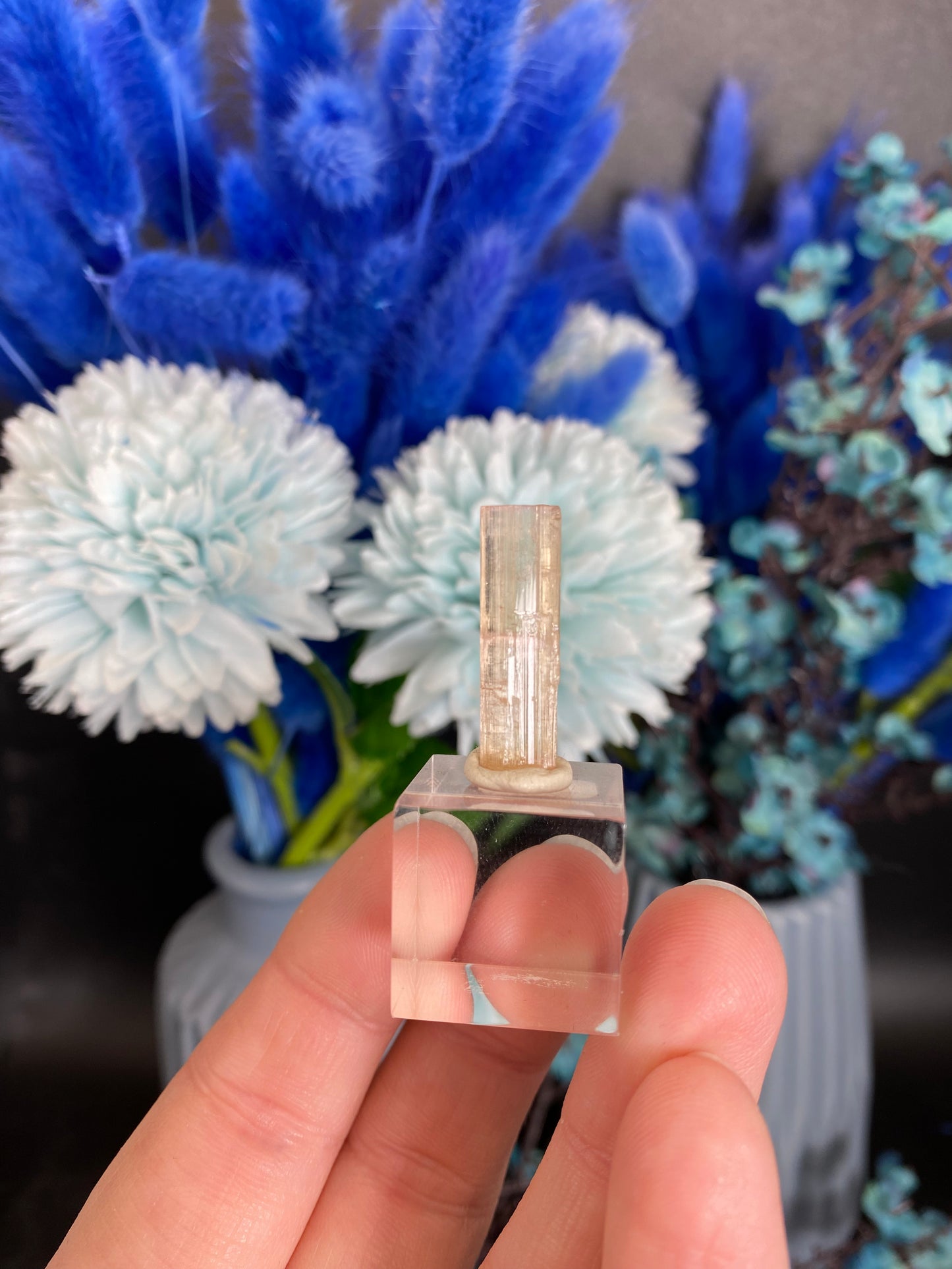 Turmalin aus der Chappu Mine, Pakistan (H50)