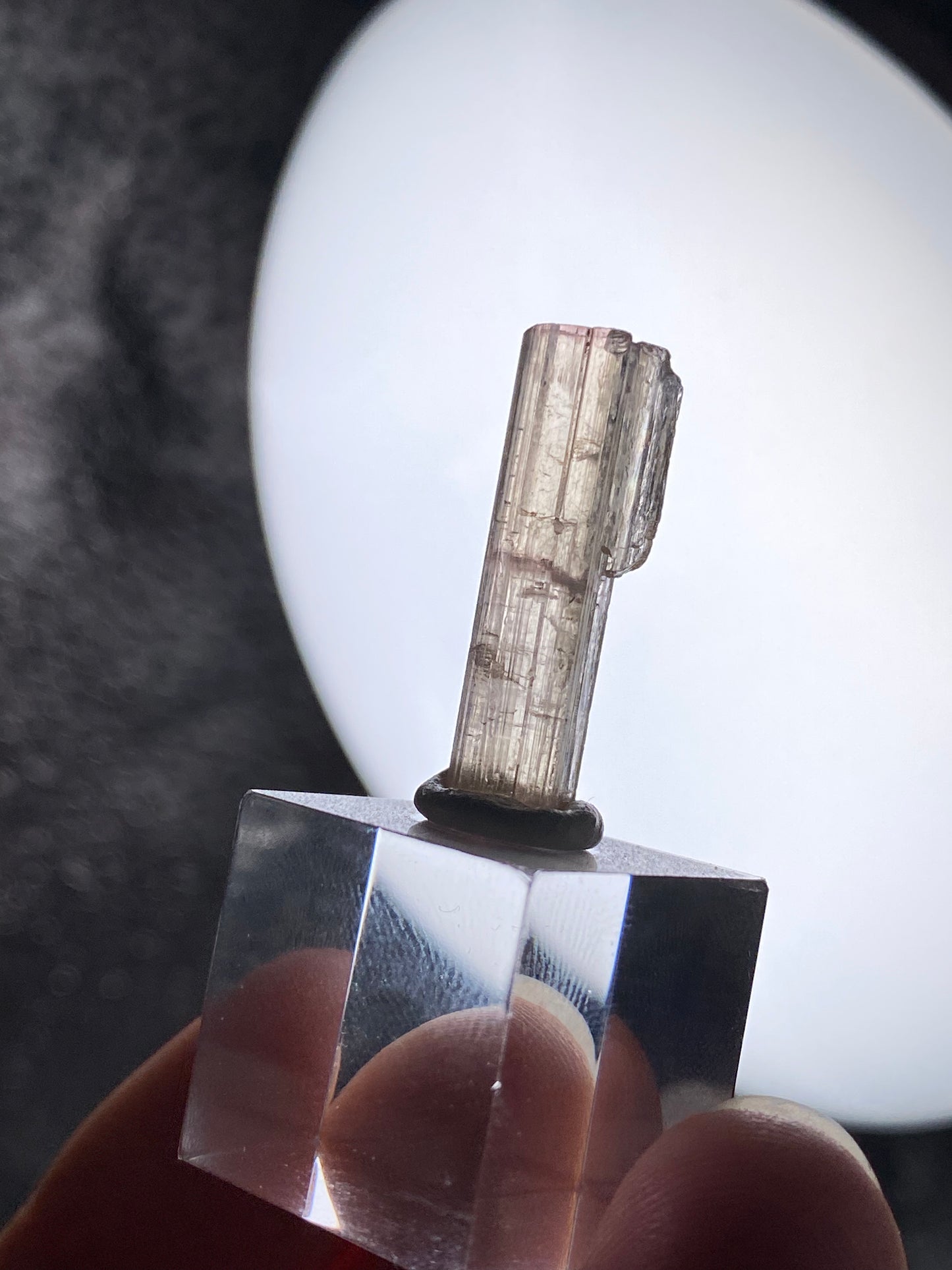 Turmalin aus der Chappu Mine, Pakistan (H50)