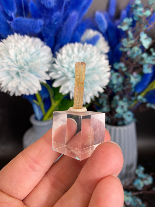 Turmalin aus der Chappu Mine, Pakistan (X40)