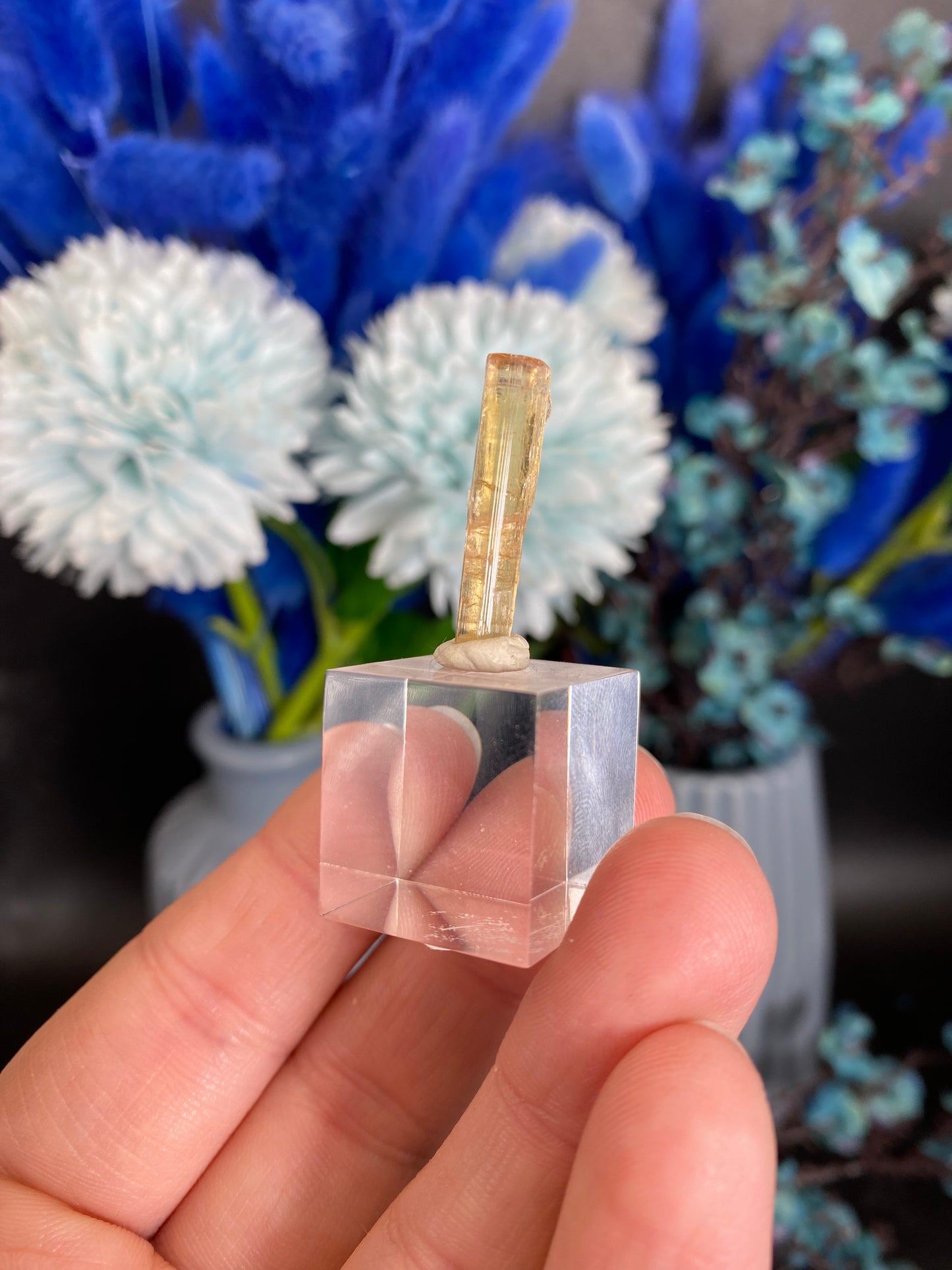 Turmalin aus der Chappu Mine, Pakistan (X40)