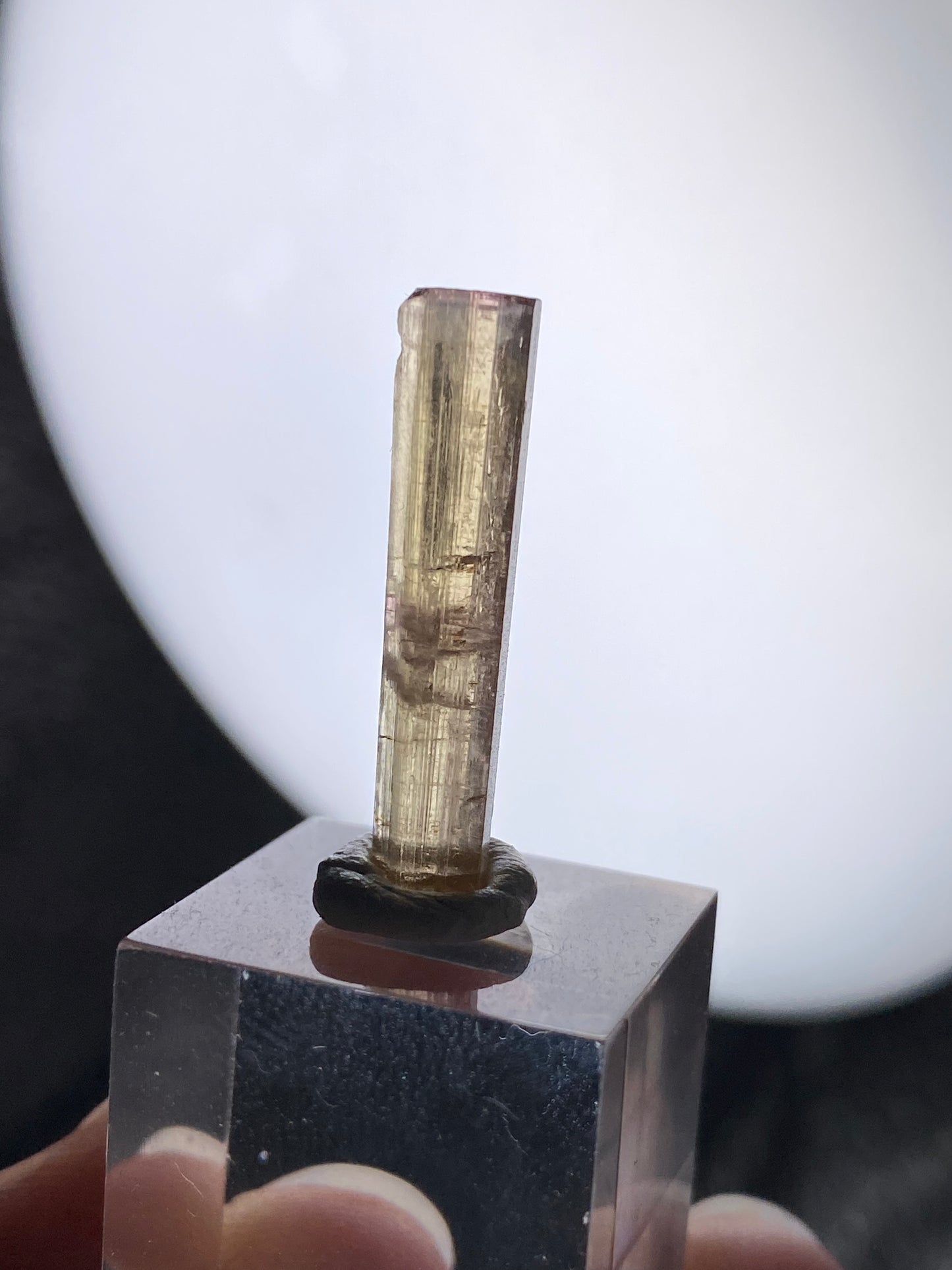 Turmalin aus der Chappu Mine, Pakistan (X40)