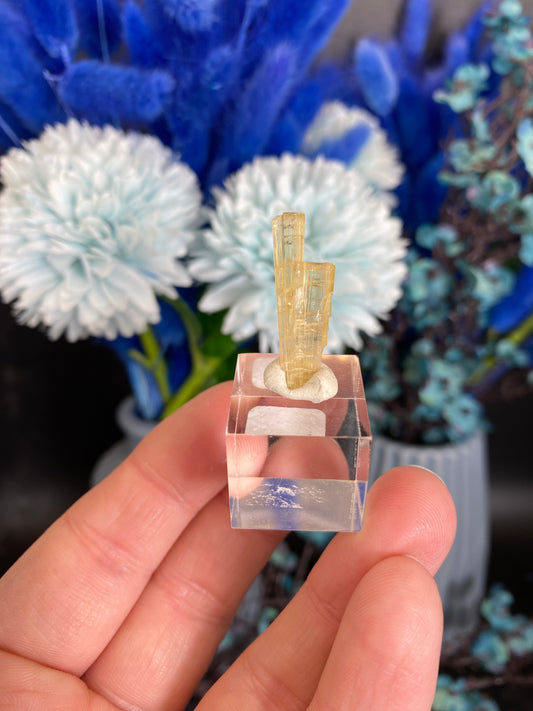 Turmalin aus der Chappu Mine, Pakistan (H38)