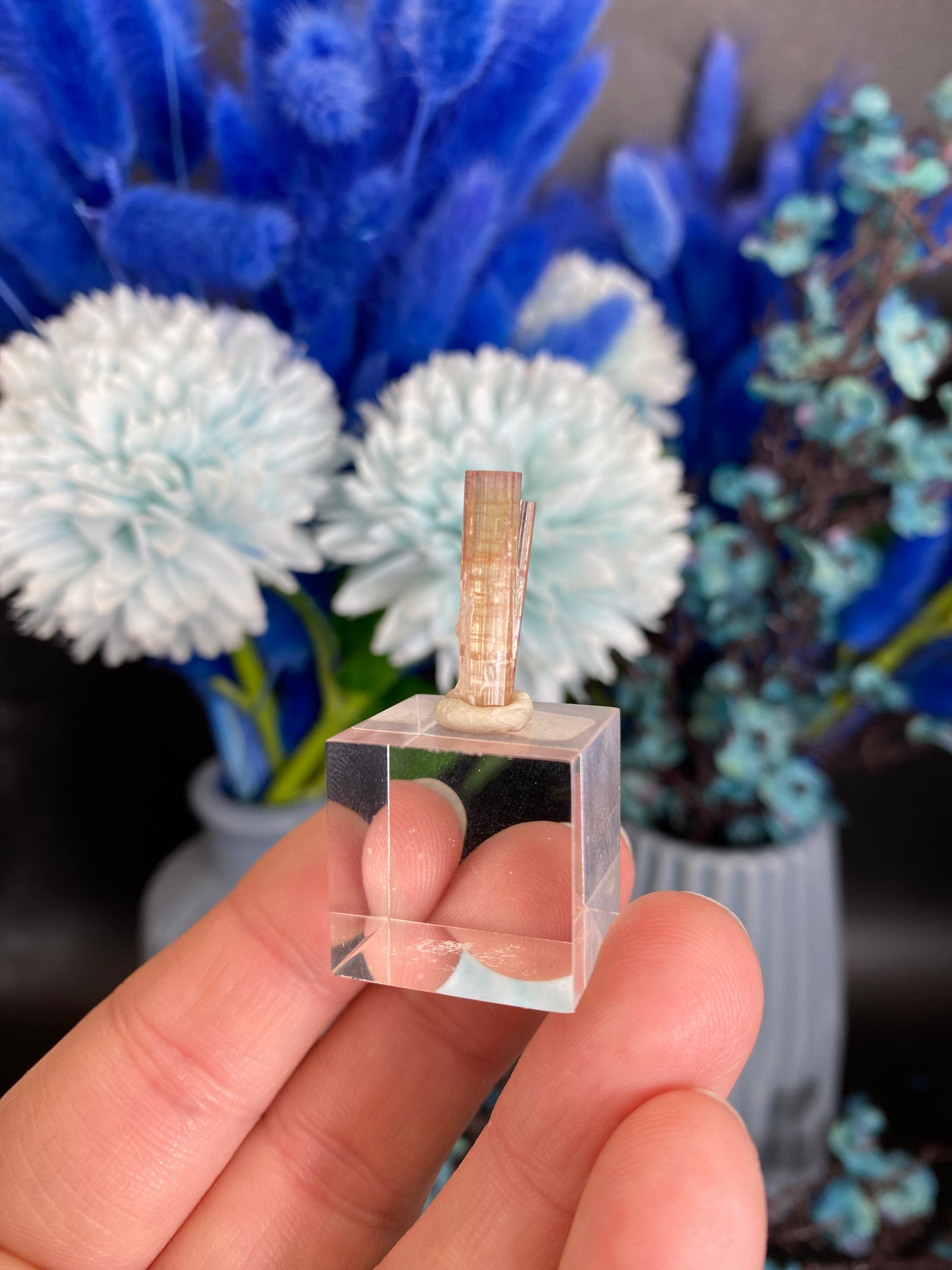 Turmalin aus der Chappu Mine, Pakistan (F38)