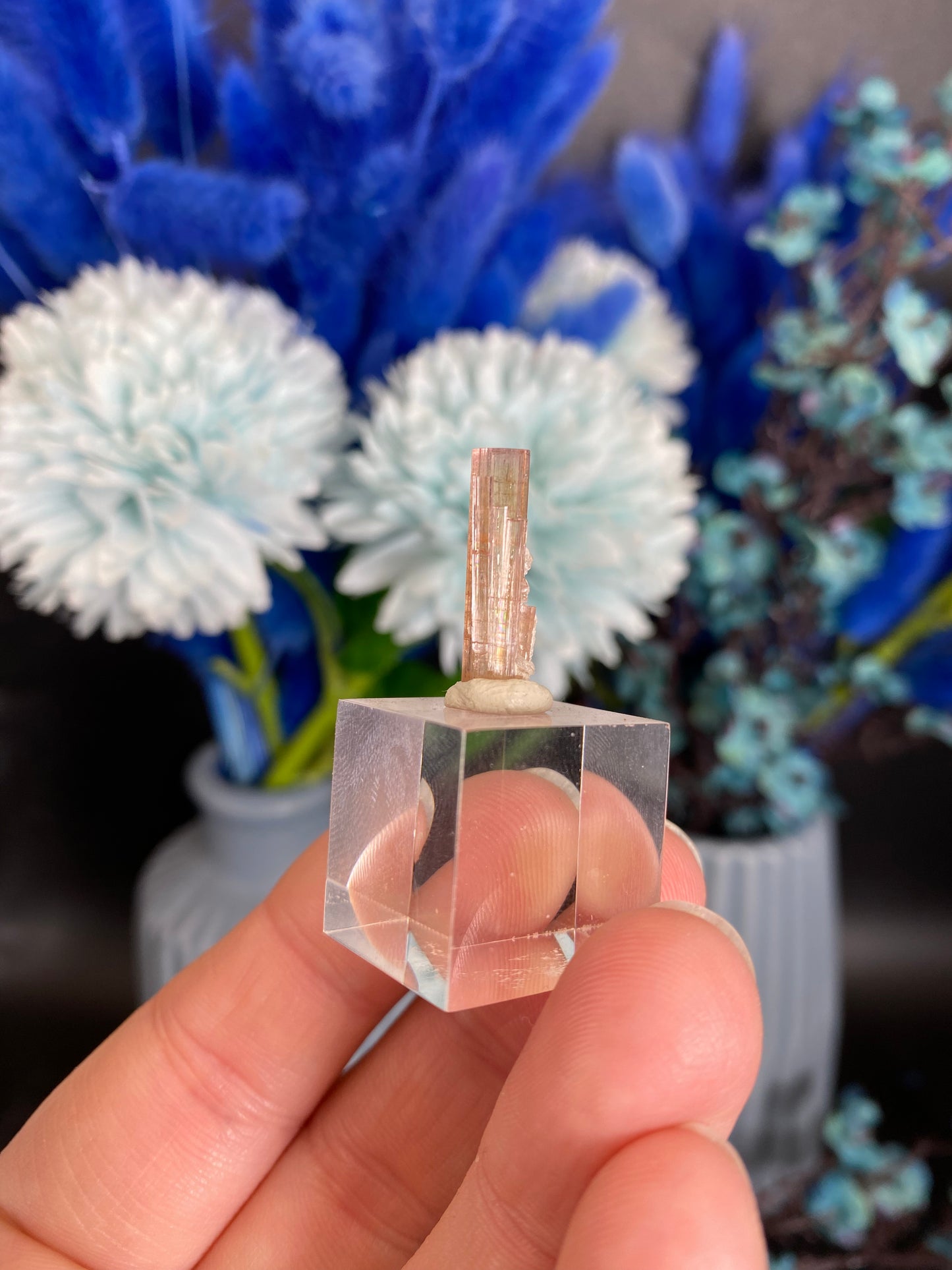 Turmalin aus der Chappu Mine, Pakistan (F38)