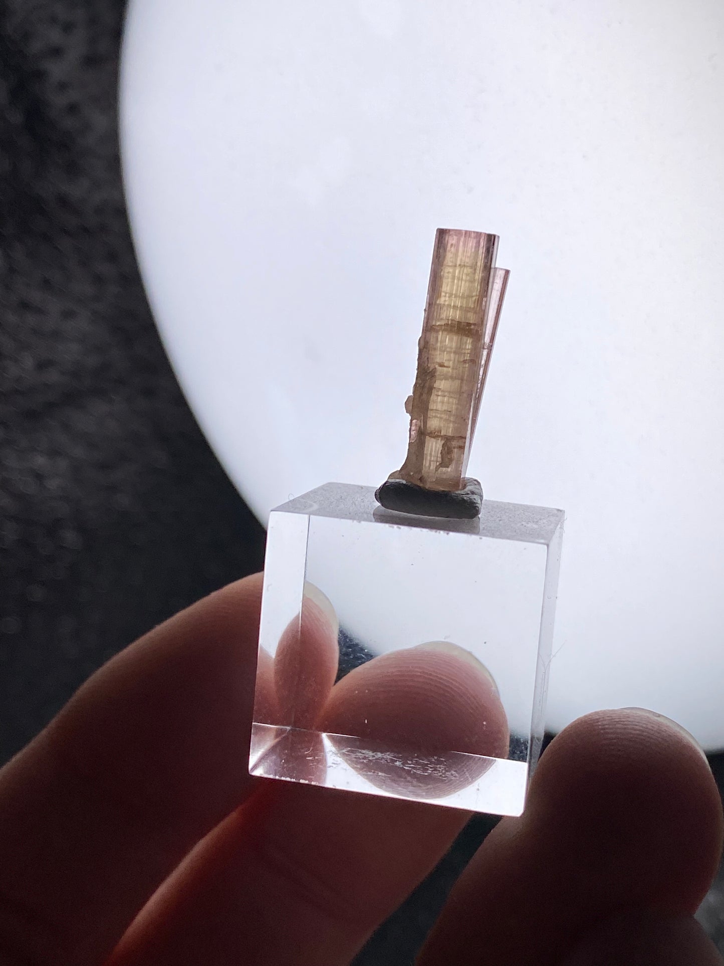 Turmalin aus der Chappu Mine, Pakistan (F38)