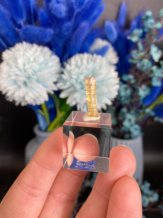 Turmalin aus der Chappu Mine, Pakistan (H35)