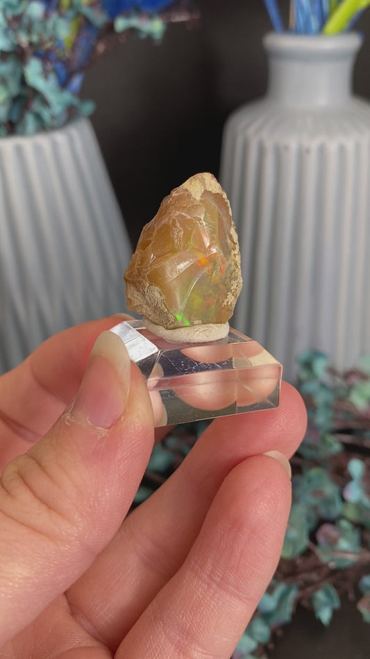 Opal aus Äthiopien (Z141)